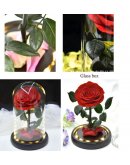 Roze stikla kolbā (20 cm) - mūžīgā stabilizētā roze