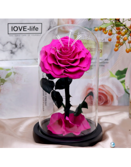 Stabilizēta roze kolbā "Pink" 21 cm