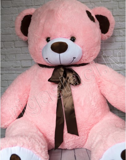 Lācis "Rafaels” 145 cm rozā krāsā